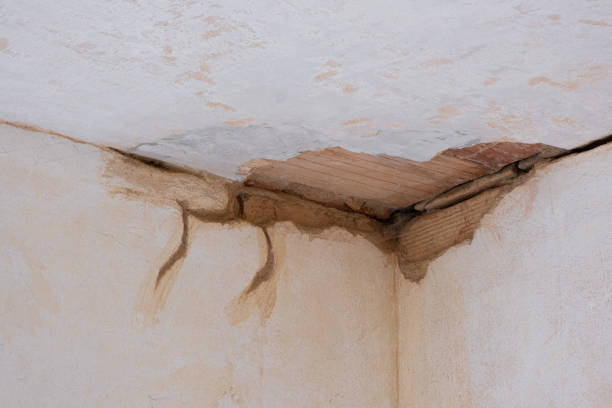  Cologne, MN Water damage restoration Pros