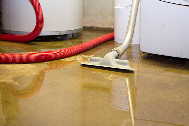 Best 24-hour water damage restoration  in Cologne, MN